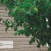 Сайдинг Ю-Пласт TIMBERBLOCK Пихта (Тимберблок) Cахалинская купить в Армавире