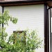 Фасадная панель Grand Line Сланец молочный купить в Армавире
